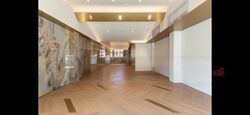 Boat Quay Conservation Area (D1), Shop House #463765241